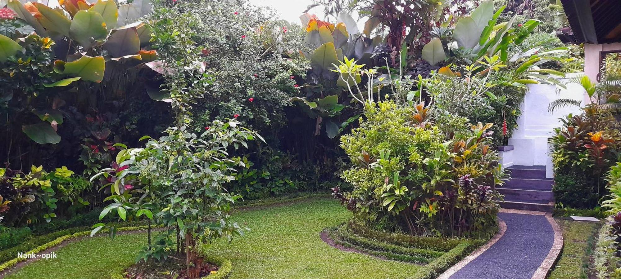 Sari Kembang Villa Ubud 1 Kültér fotó